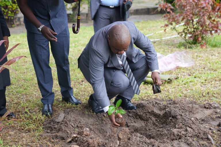 MWENYEKITI WA BARAZA LA TET AZINDUA KAMPENI YA UPANDAJI MITI