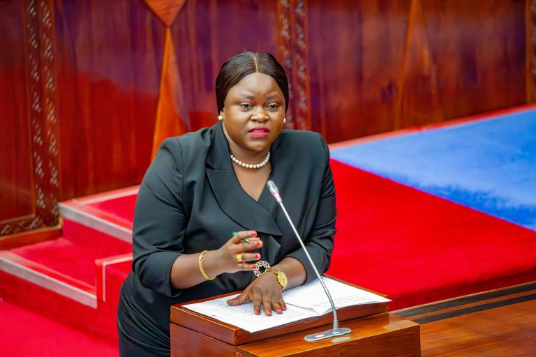 ZAIDI YA NYUMBA 800 MTWARA KUUNGANISHWA NA MFUMO WA GESI YA KUPIKIA – KAPINGA