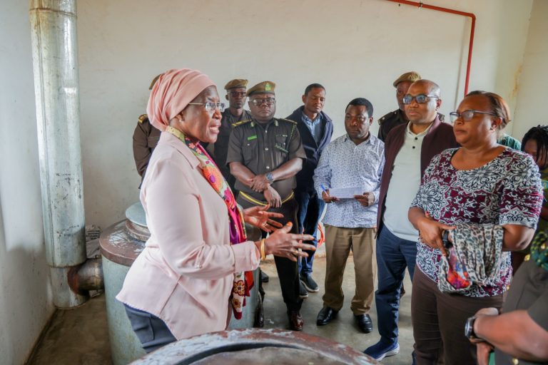 REB WASISITIZA WAKANDARASI KUKAMILISHA MIRADI UMEME VIJIJINI KWA WAKATI