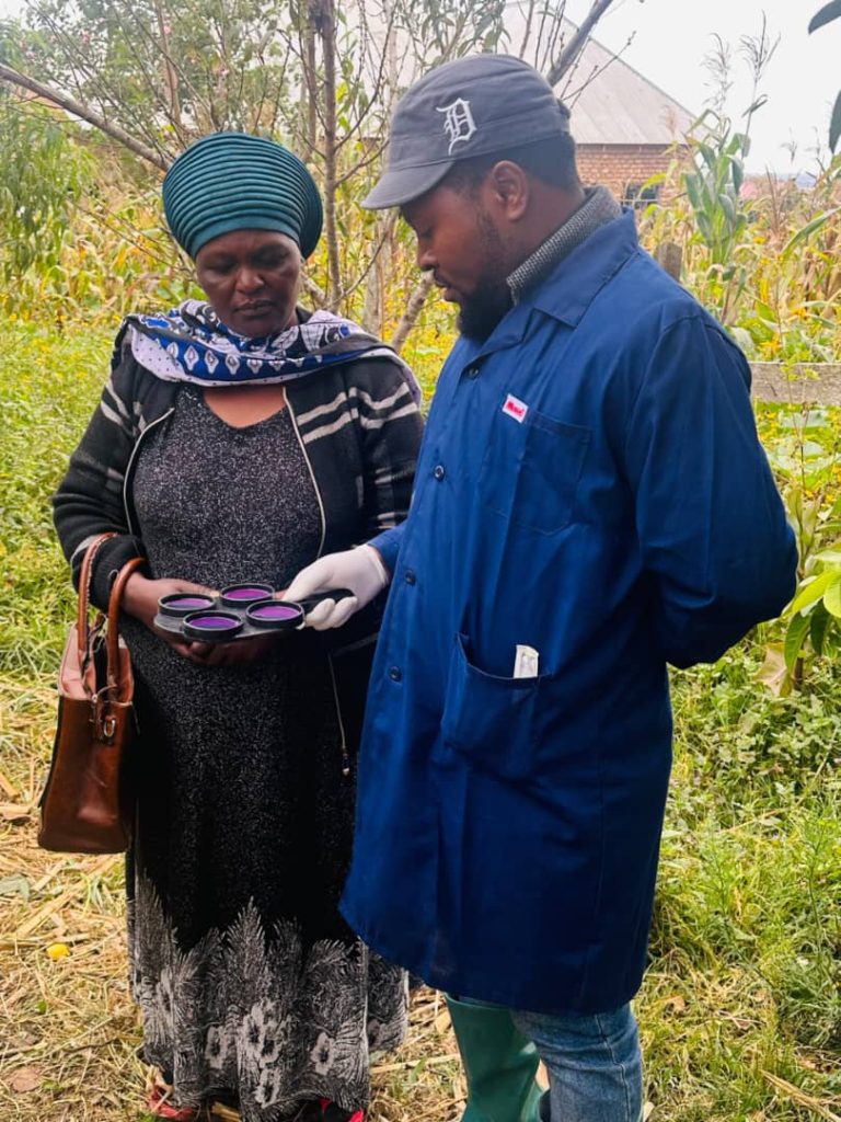 WATAFITI SUA WAJA NA DAWA MPYA YA MITISHAMBA DHIDI YA HOMA YA KIWELE