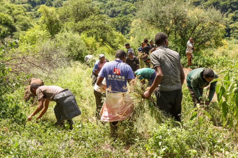 NCAA YASHIRIKIANA NA JAMII INAYOZUNGUKA HIFADHI KUKABILIANA NA GUGU KAROTI