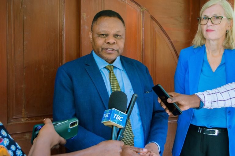TANZANIA KUENDELEZA MASHIRIKIANO NA NCHI ZA NORDIKI