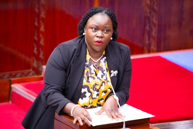 MITAA 58 HALMASHAURI YA MJI WA TARIME IMEFIKIWA NA UMEME– MHE. KAPINGA