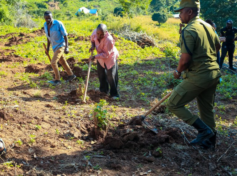 WANAKIJIJI HEIKONTI SAME KWA HIARI WAAMUA KUNG’OA VISIKI VYA MIRUNGI; DCEA YASHIRIKI ZOEZI HILO