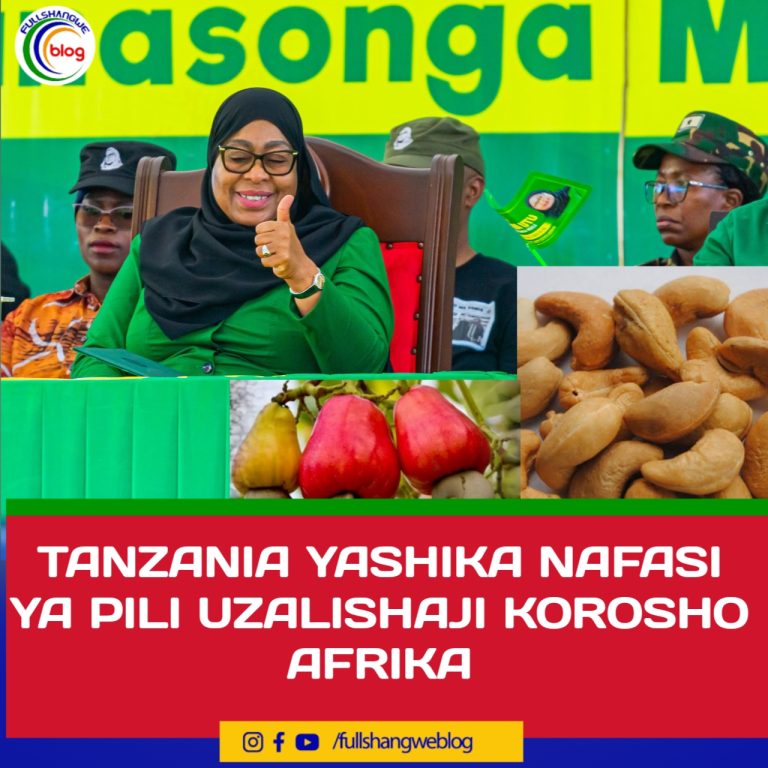 TANZANIA YASHIKA NAFASI YA PILI UZALISHAJI KOROSHO AFRIKA