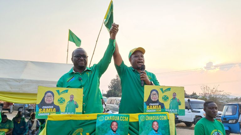 WANANCHI WANA KILA SABABU YA KUICHAGUA CCM – MRATIBU WA KAMPENI IRINGA MJINI
