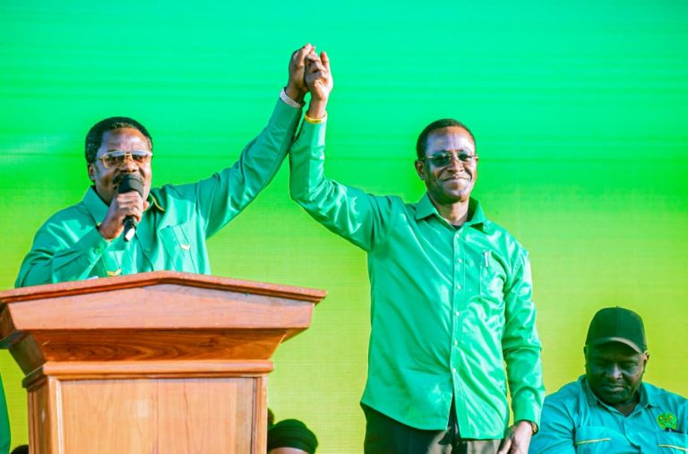 DKT NCHIMBI | SERIKALI KUTENGA HEKTA 20,000 KWA WAKULIMA NYASI ZA MIFUGO ‘NJOMBE’