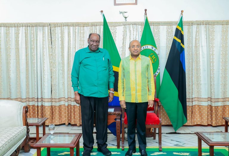 DK.MWINYI AKUTANA NA MAKAMU MWENYEKITI WA CCM TZ BARA