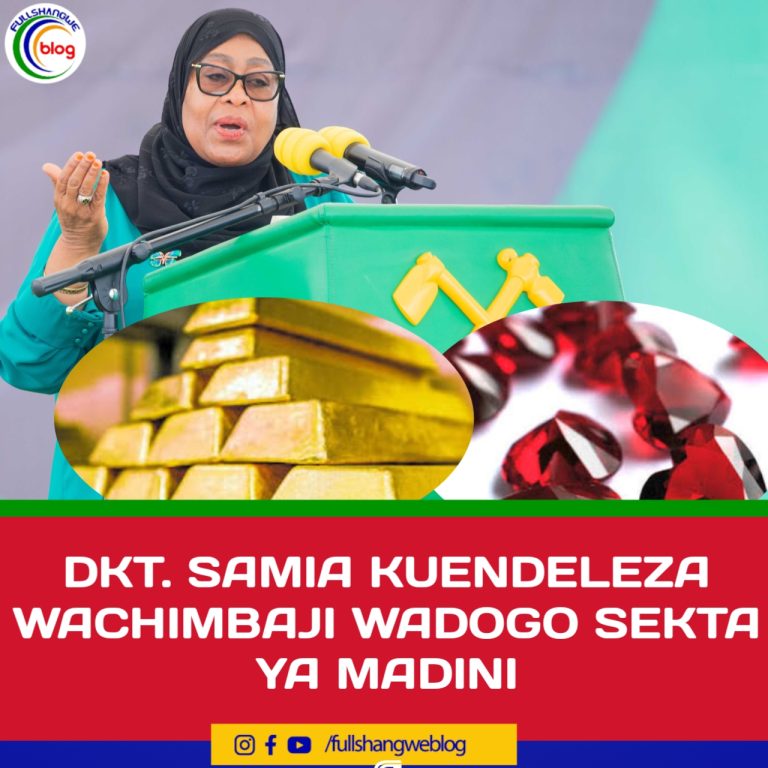 DKT. SAMIA KUENDELEZA WACHIMBAJI WADOGO SEKTA YA MADINI