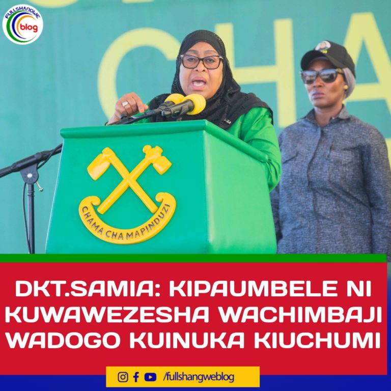 DKT.SAMIA: KIPAUMBELE NI KUWAWEZESHA WACHIMBAJI WADOGO KUINUKA KIUCHUMI