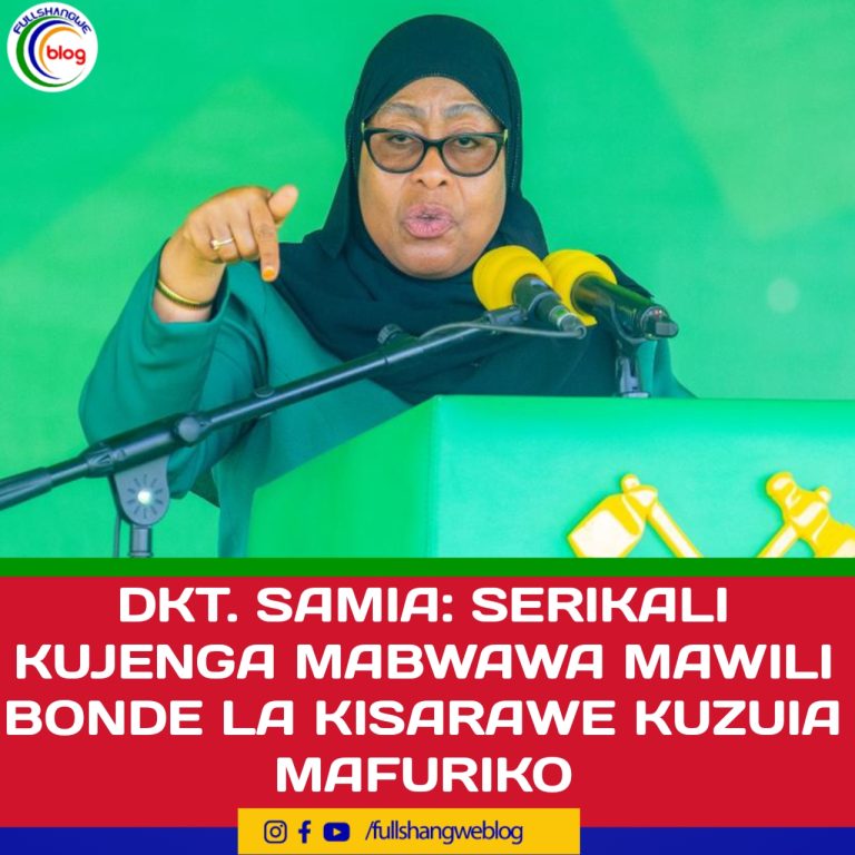 DKT. SAMIA: SERIKALI KUJENGA MABWAWA MAWILI BONDE LA KISARAWE KUZUIA MAFURIKO