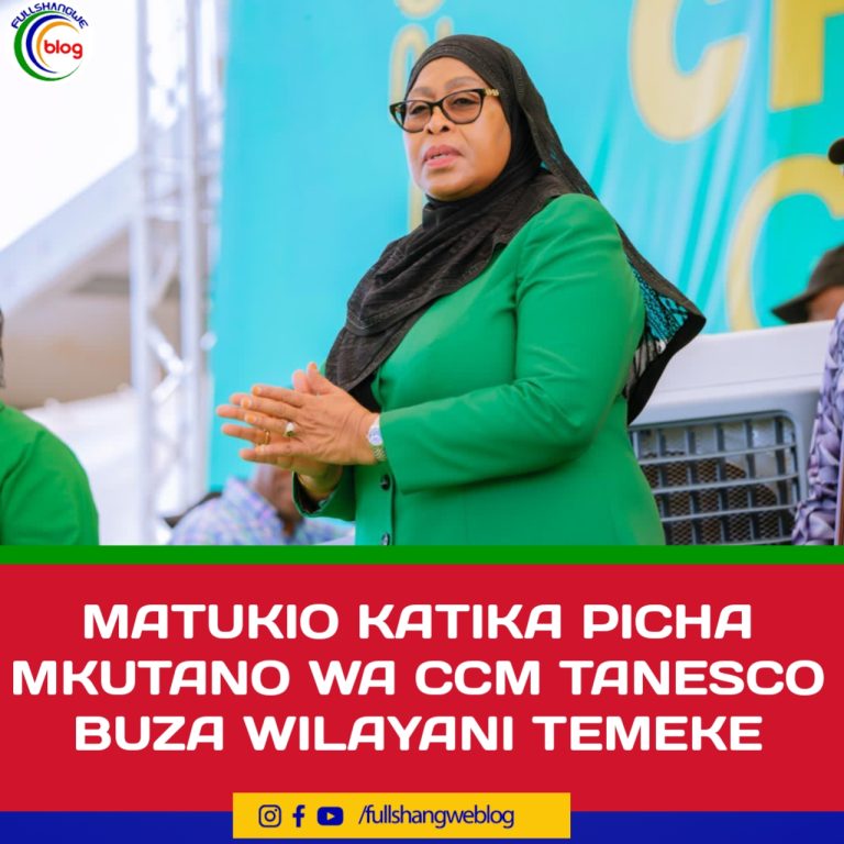 MATUKIO KATIKA PICHA MKUTANO WA CCM TANESCO BUZA WILAYANI TEMEKE