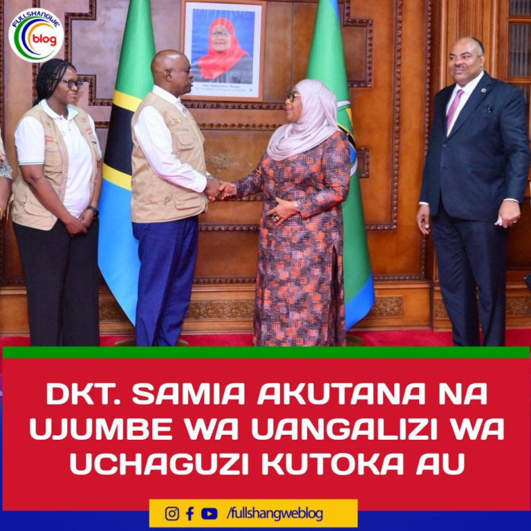 DKT. SAMIA AKUTANA NA UJUMBE WA UANGALIZI WA UCHAGUZI KUTOKA AU