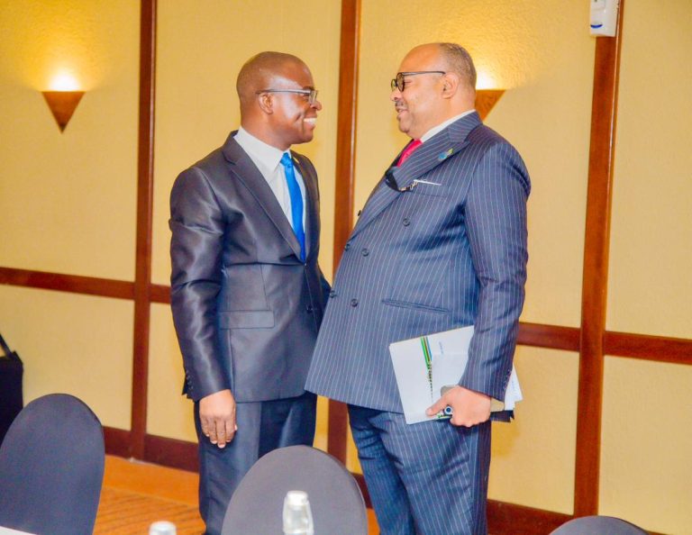 TANZANIA NA ZIMBABWE KUIMARISHA USHIRIKIANO WA KIMKAKATI