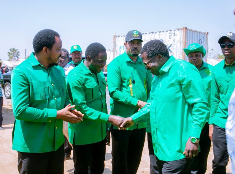 DKT.NCHIMBI AWAHUTUBIA WANA IKUNGI,AWAOMBA KURA ZA USHINDI WA KISHINDO KWA CCM