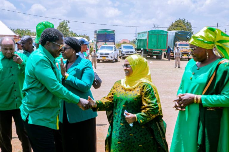 DKT.NCHIMBI AENDELEA KUSAKA KURA ZA CCM DODOMA