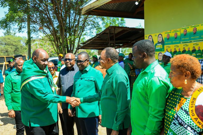 WASIRA: NCHI IPO SALAMA, WAAMBIENI WATANZANIA WAKAPIGE KURA