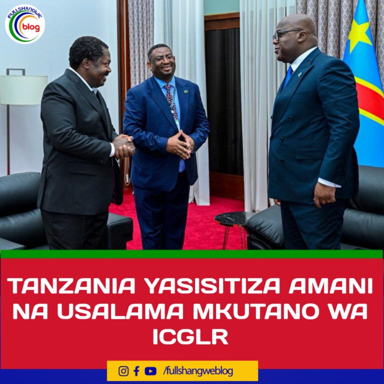 TANZANIA YASISITIZA AMANI NA USALAMA MKUTANO WA ICGLR