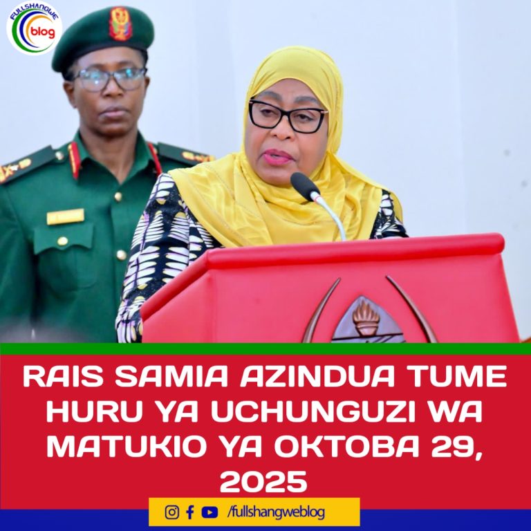 RAIS SAMIA AZINDUA TUME HURU YA UCHUNGUZI WA MATUKIO YA OKTOBA 29, 2025