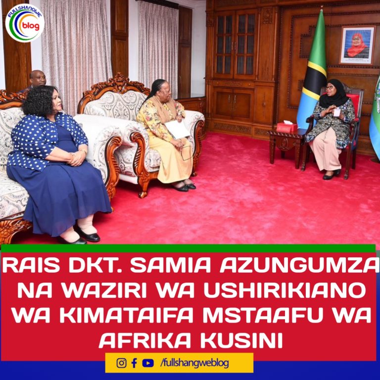 RAIS DKT. SAMIA AZUNGUMZA NA WAZIRI WA USHIRIKIANO WA KIMATAIFA MSTAAFU WA AFRIKA KUSINI
