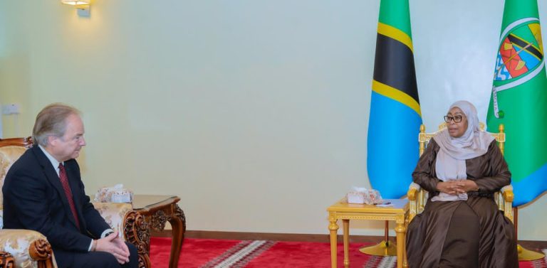 RAIS SAMIA AKUTANA NA NAIBU MWENYEKITI BARAZA LA BIASHARA JUMUIYA YA MADOLA (CWEIC)