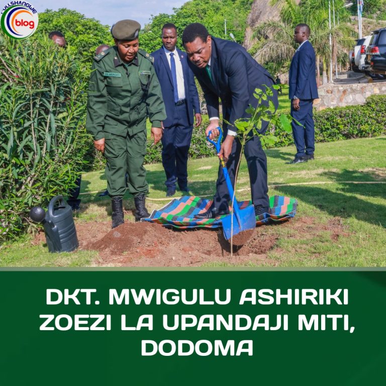 DKT. MWIGULU ASHIRIKI ZOEZI LA UPANDAJI MITI, DODOMA