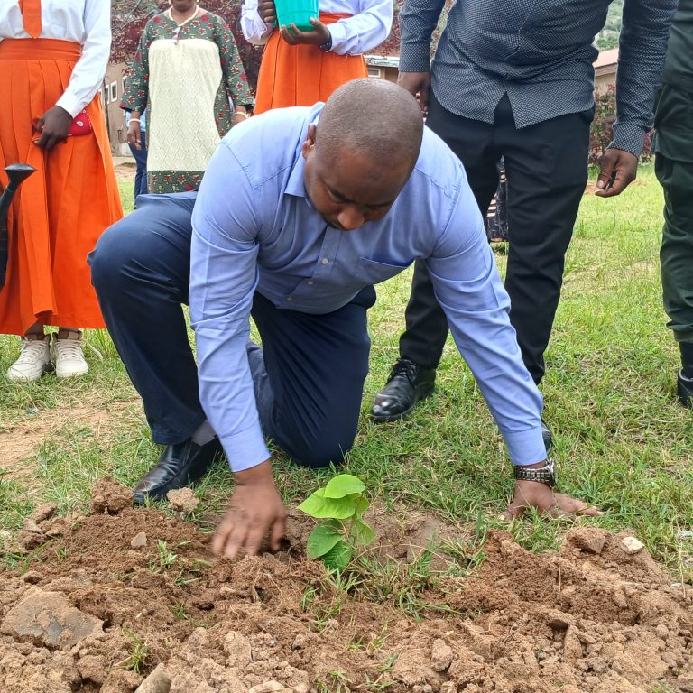 IRINGA YAADHIMISHA SIKU YA KUZALIWA KWA RAIS SAMIA KWA UPANDAJI MITI