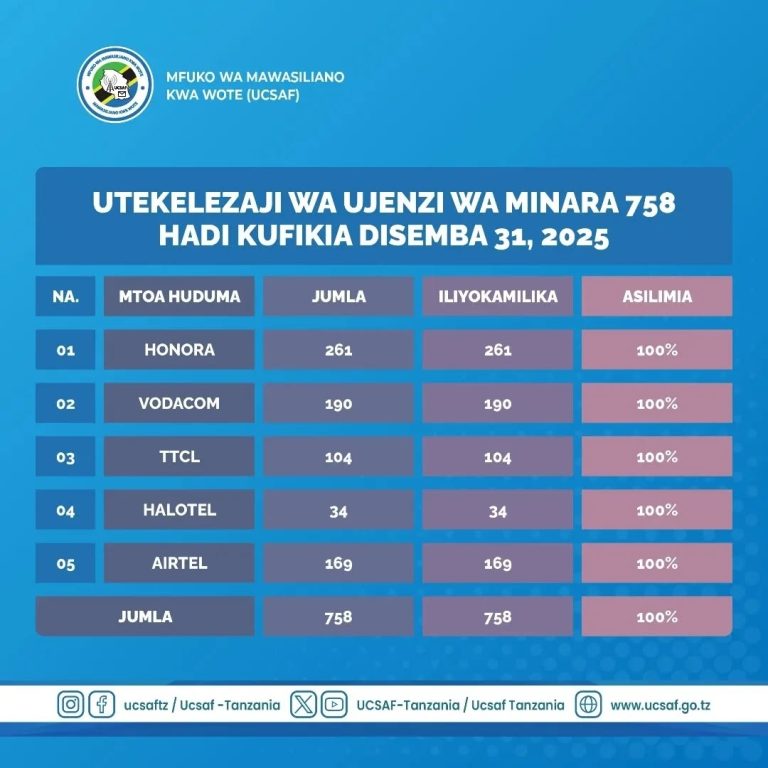 UJENZI WA MINARA 758 WAKAMILIKA, WANANCHI MILIONI 8.5 VIJIJINI WANUFAIKA