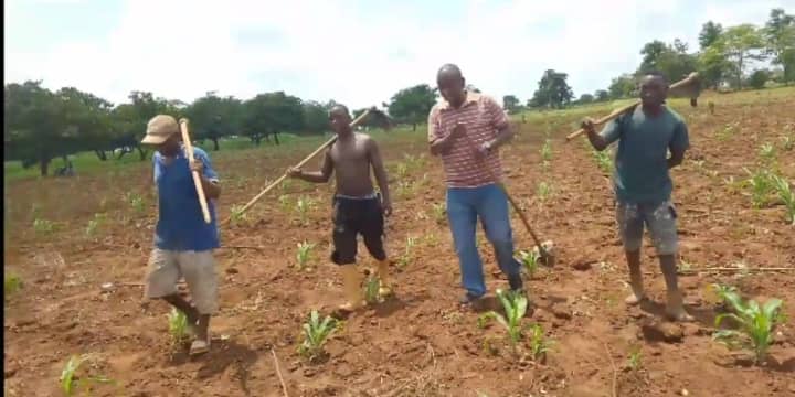 WAKULIMA WATARAJIA MAKUBWA