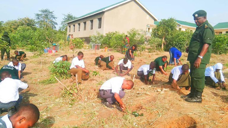 KIBAHA YAJIPANGA KUKABILIANA NA TABIANCHI, MITI 2,000 KUPANDWA MSANGANI TWO