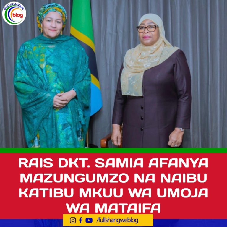 RAIS DKT. SAMIA AFANYA MAZUNGUMZO NA NAIBU KATIBU MKUU WA UMOJA WA MATAIFA