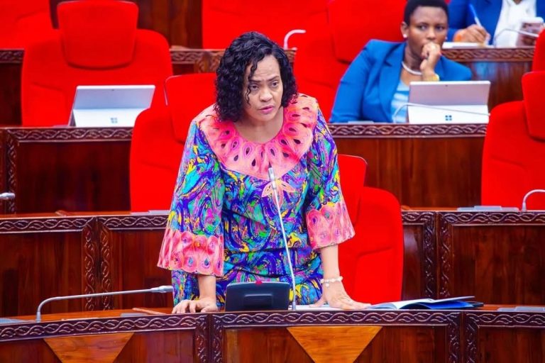 SERIKALI KUONGEZA NGUVU KUKABILIANA NA MUINGILIANO WA MAWASILIANO MAENEO YA MIPAKANI