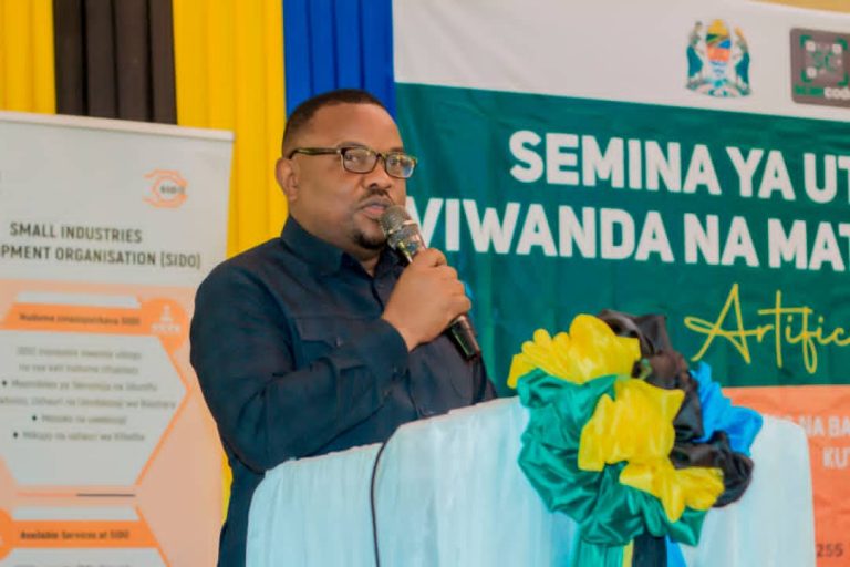 TEKNOLOJIA YA AKILI-UNDE YAGEUKA KIMBILIO KWA WAJASIRIAMALI WACHANGA MKOANI MTWARA
