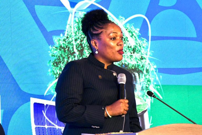 SADC YAVUTIWA NA MIKAKATI YA TANZANIA KATIKA AJENDA YA NISHATI SAFI YA KUPIKIA 