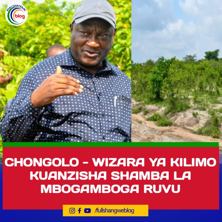 CHONGOLO : WIZARA YA KILIMO KUANZISHA SHAMBA LA MBOGAMBOGA RUVU