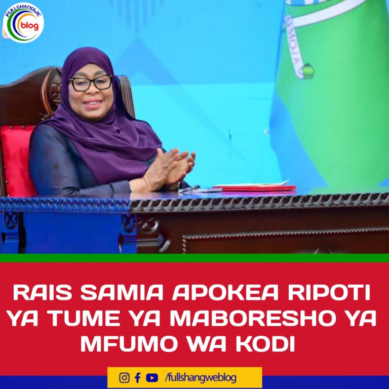 RAIS SAMIA APOKEA RIPOTI YA TUME YA MABORESHO YA MFUMO WA KODI