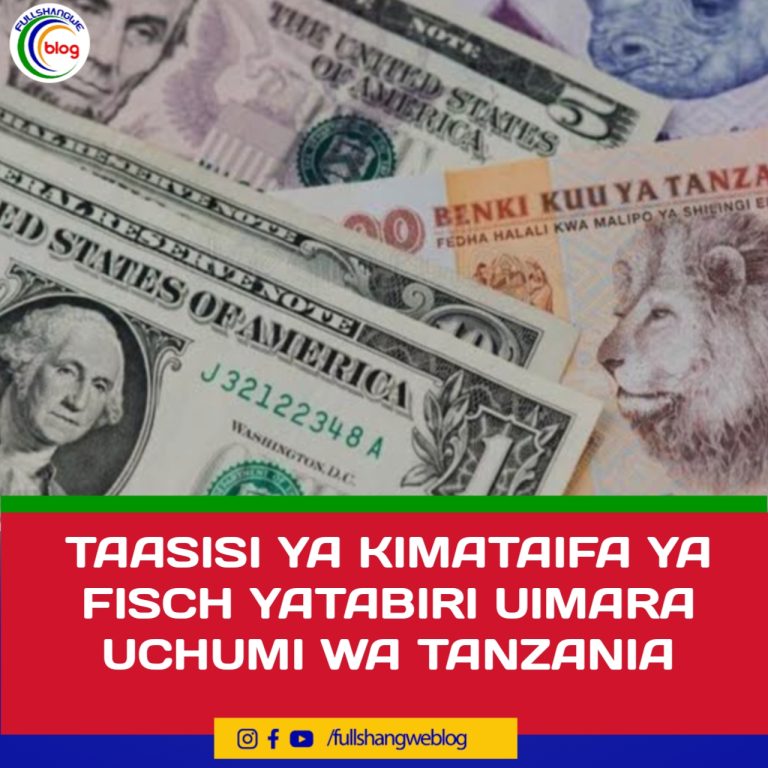 TAASISI YA KIMATAIFA YA FISCH YATABIRI UIMARA UCHUMI WA TANZANIA