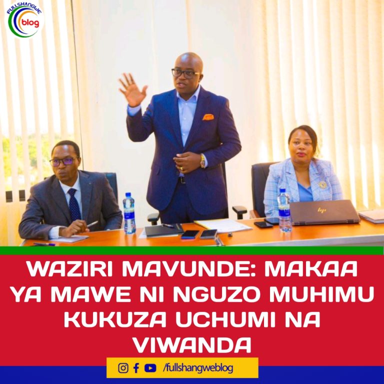 WAZIRI MAVUNDE: MAKAA YA MAWE NI NGUZO MUHIMU KUKUZA UCHUMI NA VIWANDA