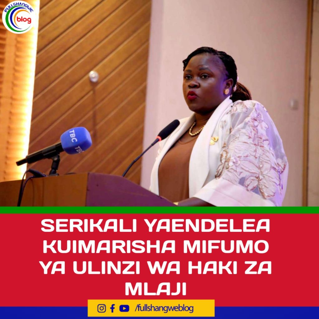 SERIKALI YAENDELEA KUIMARISHA MIFUMO YA ULINZI WA HAKI ZA MLAJI