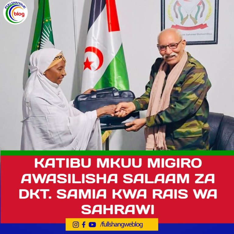 KATIBU MKUU MIGIRO AWASILISHA SALAAM ZA DKT. SAMIA KWA RAIS WA SAHRAWI