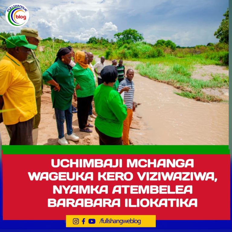 UCHIMBAJI MCHANGA WAGEUKA KERO VIZIWAZIWA, NYAMKA ATEMBELEA BARABARA ILIOKATIKA