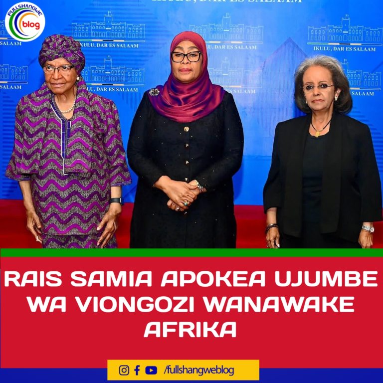 RAIS SAMIA APOKEA UJUMBE WA VIONGOZI WANAWAKE AFRIKA