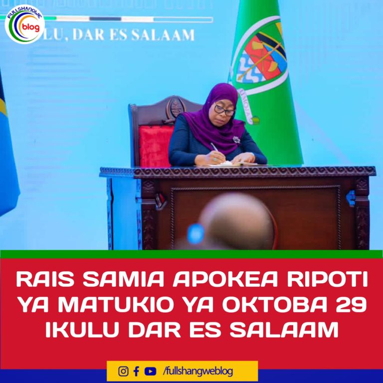 RAIS SAMIA APOKEA RIPOTI YA MATUKIO YA OKTOBA 29 IKULU DAR ES SALAAM