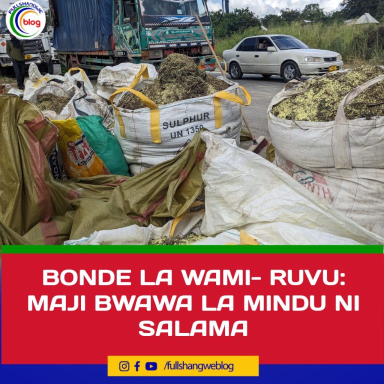 BONDE LA WAMI RUVU: MAJI BWAWA LA MINDU NI SALAMA 