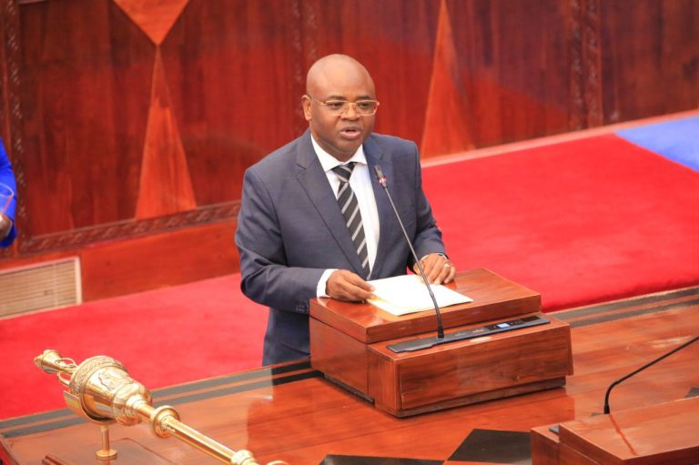 MUSWAADA WA SHERIA YA UWEKEZAJI WA UMMA KUKAMILIKA 2026/2027