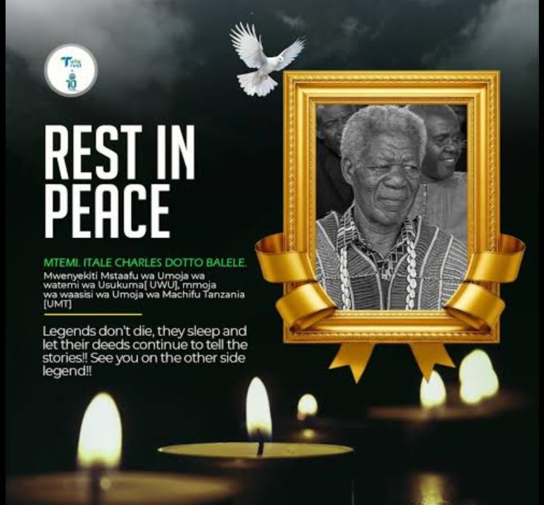 RAIS SAMIA AMLILIA MTEMI ITALE WA BUJASHI MAGU MWANZA