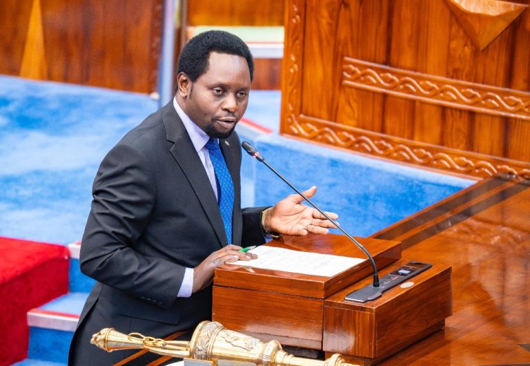SERIKALI KUONGEZA BAJETI YA UJENZI WA BARABARA ZA LAMI NCHINI