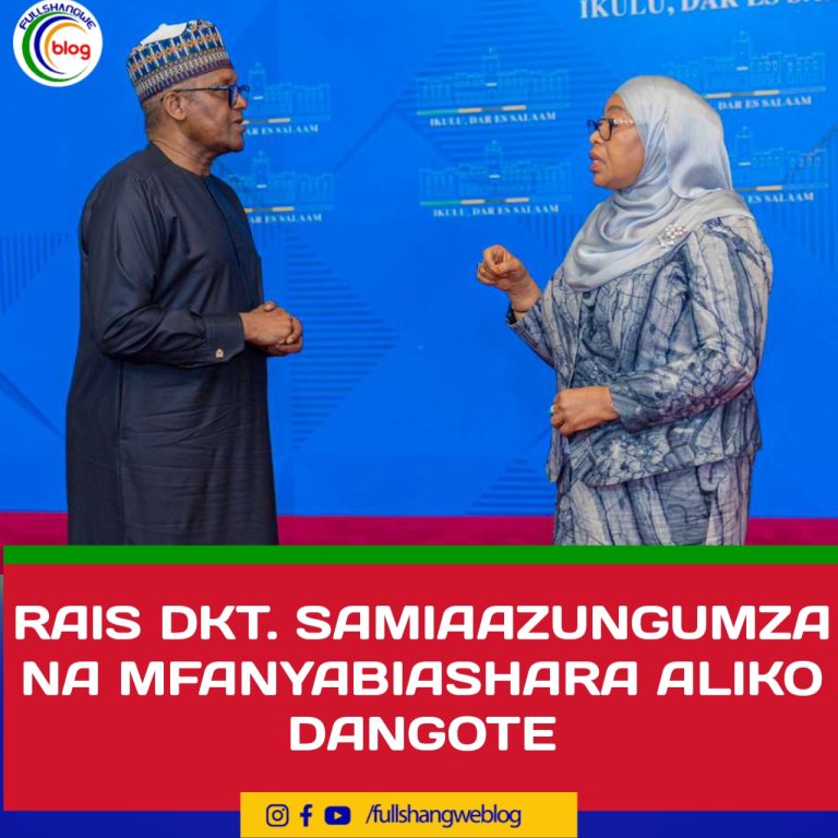 RAIS DKT. SAMIAAZUNGUMZA NA MFANYABIASHARA ALIKO DANGOTE