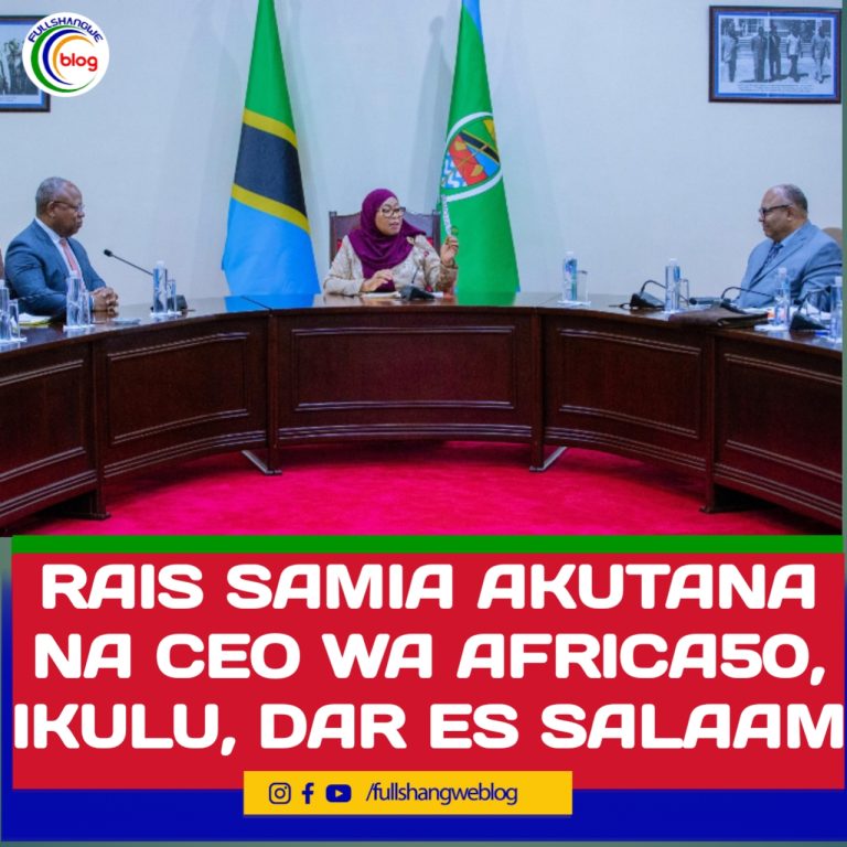 RAIS SAMIA AKUTANA NA CEO WA AFRICA50, IKULU, DAR ES SALAAM