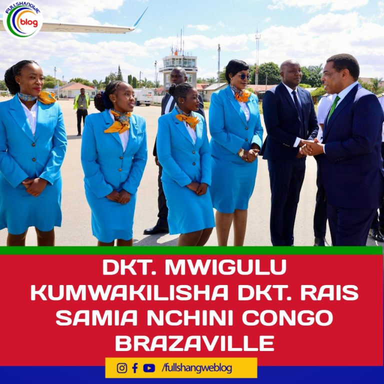 DKT. MWIGULU KUMWAKILISHA RAIS SAMIA CONGO BRAZAVILLE